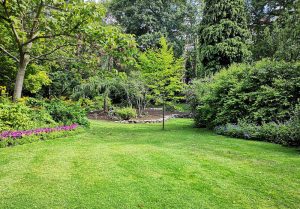 Optimiser l'expérience du jardin à Blaise-sous-Arzillieres
